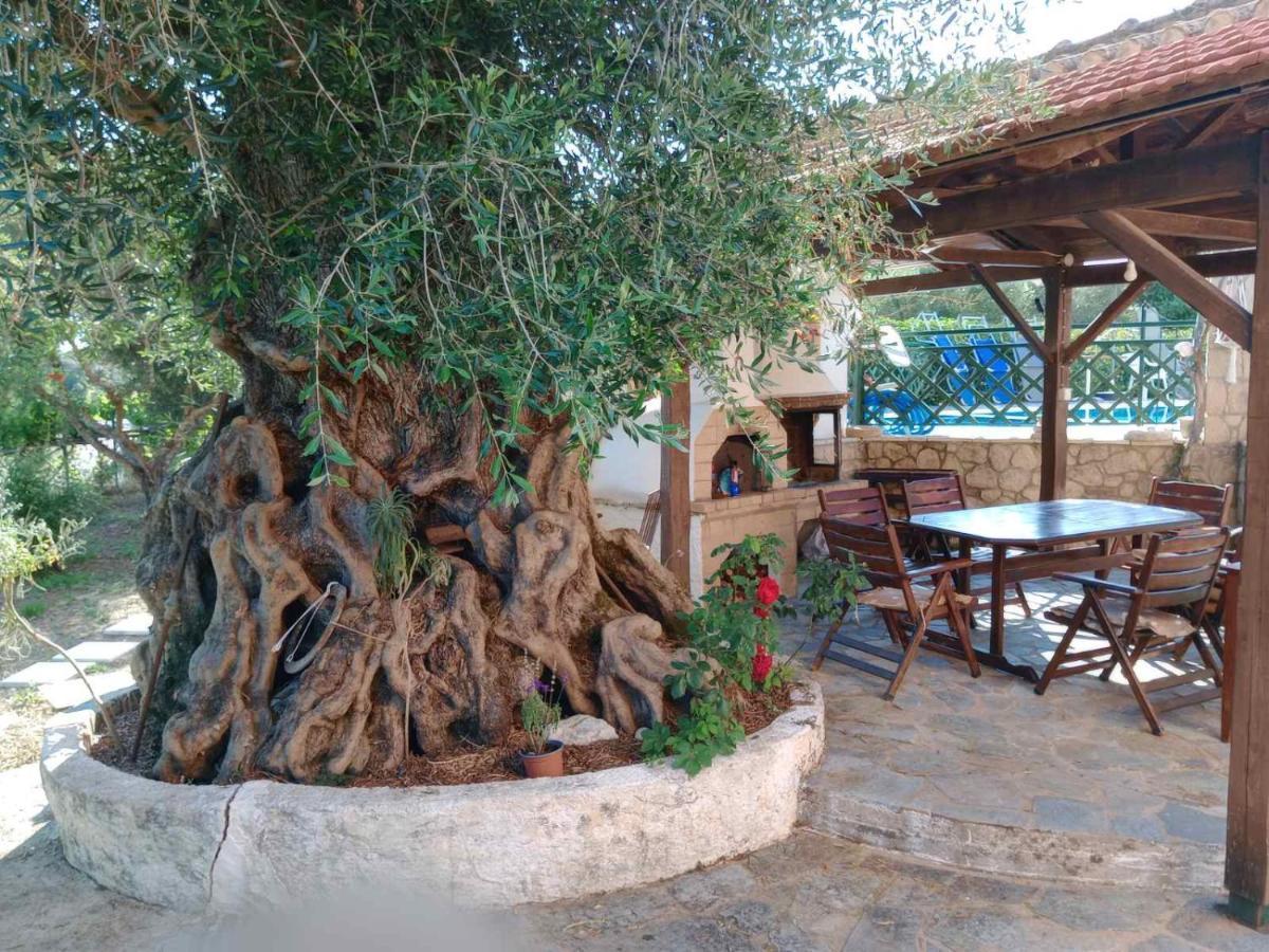 Pool Villa Grigoris Aspiotades Exteriör bild